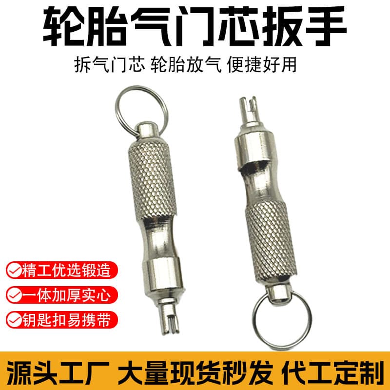 Car Tire Valve Core Removal Tool, Bicycle Tire Valve Deflator Needle, Valve Core Jewelry Accessories