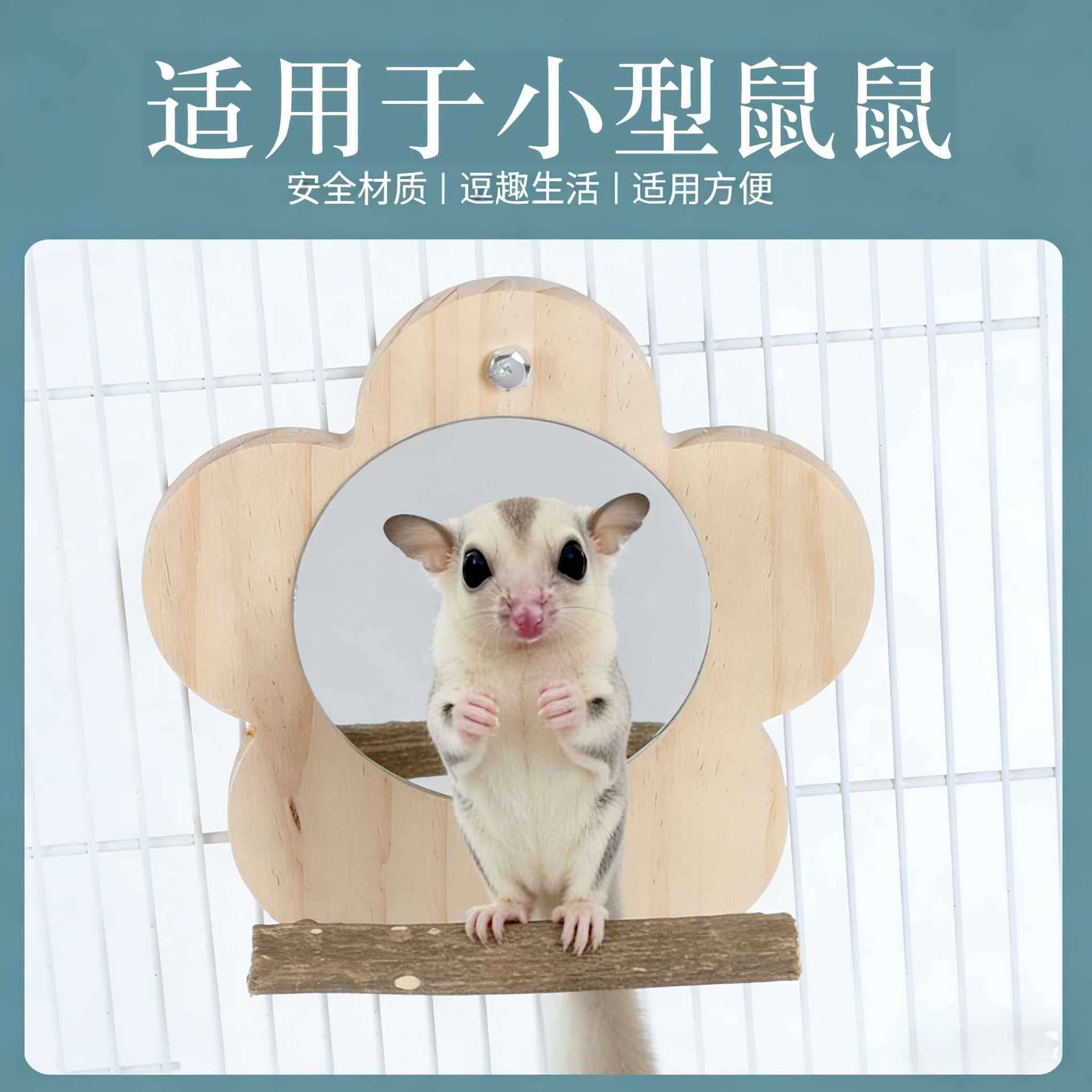 Sugar Glider Resting and Feeding Platform, Parakeet and Lovebird Frosted Perch Stand, Food Bowl, Cage Decoration Accessories