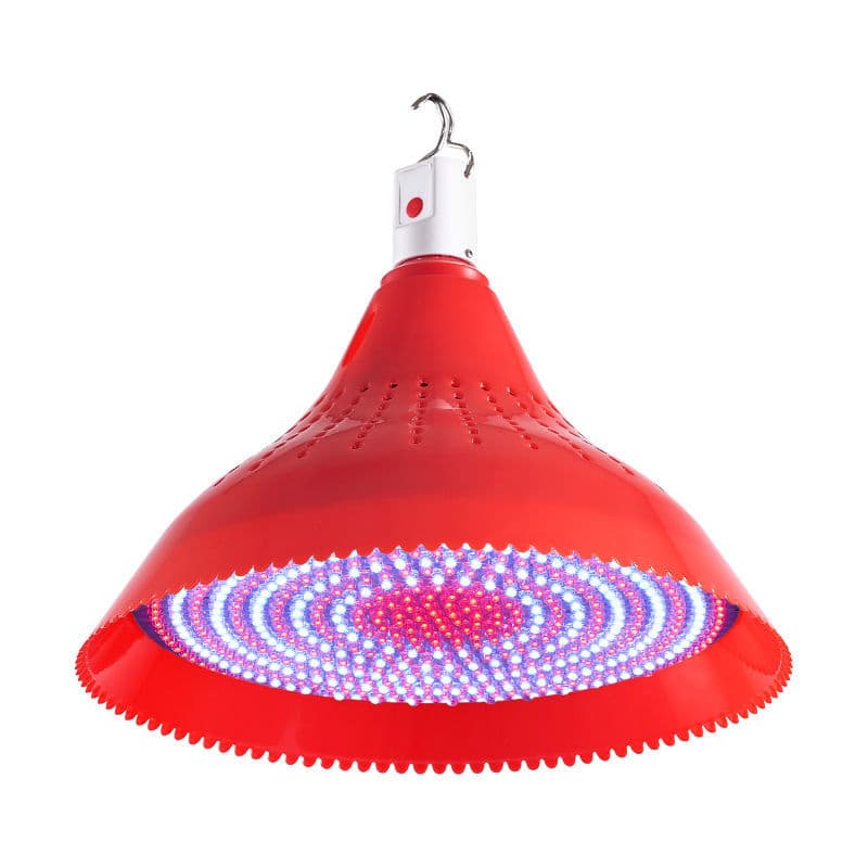 LED Fresh Food Lamp Rechargeable Deli Lamp Fruit Lamp Night Market Stall Lamp