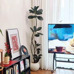 Living Room Premium Floor-standing Ornament, Artificial Green Plant, High-end Luxury Black King Kong Rubber Tree, Ficus Variegata, Indoor Fake Tree