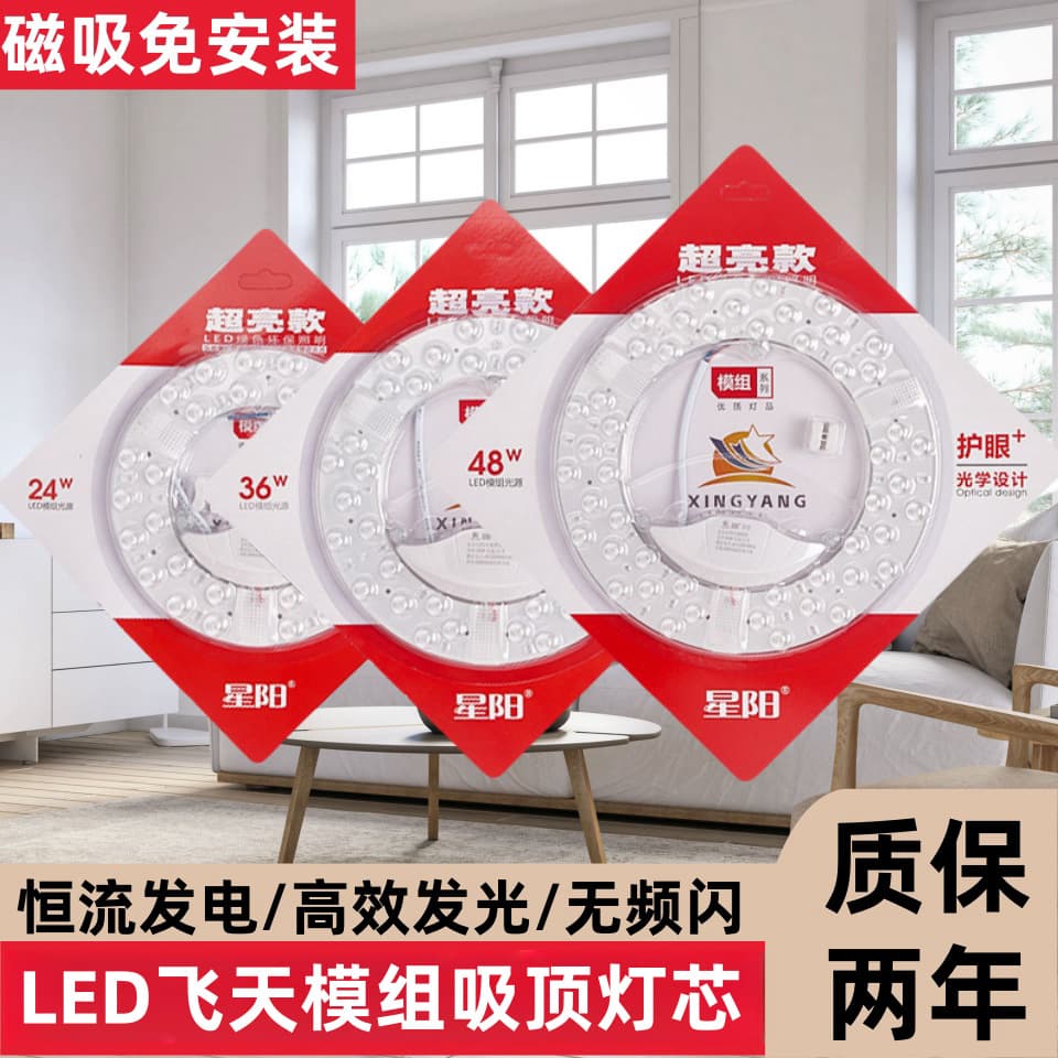 Ceiling Light LED Replacement Core Wholesale Round Magnetic Module Light Source Ring High Brightness Ceiling Light Panel LED Light Feitian