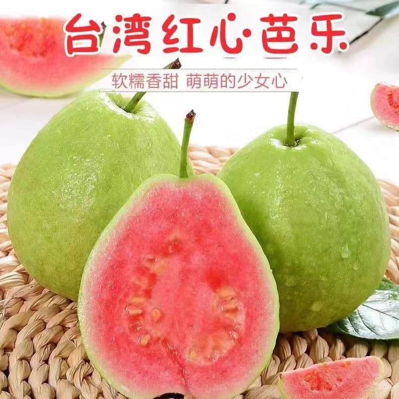 Guava seeds, guava seeds, chicken shit fruit seeds, plucked horns, guava seeds, sown in all seasons
