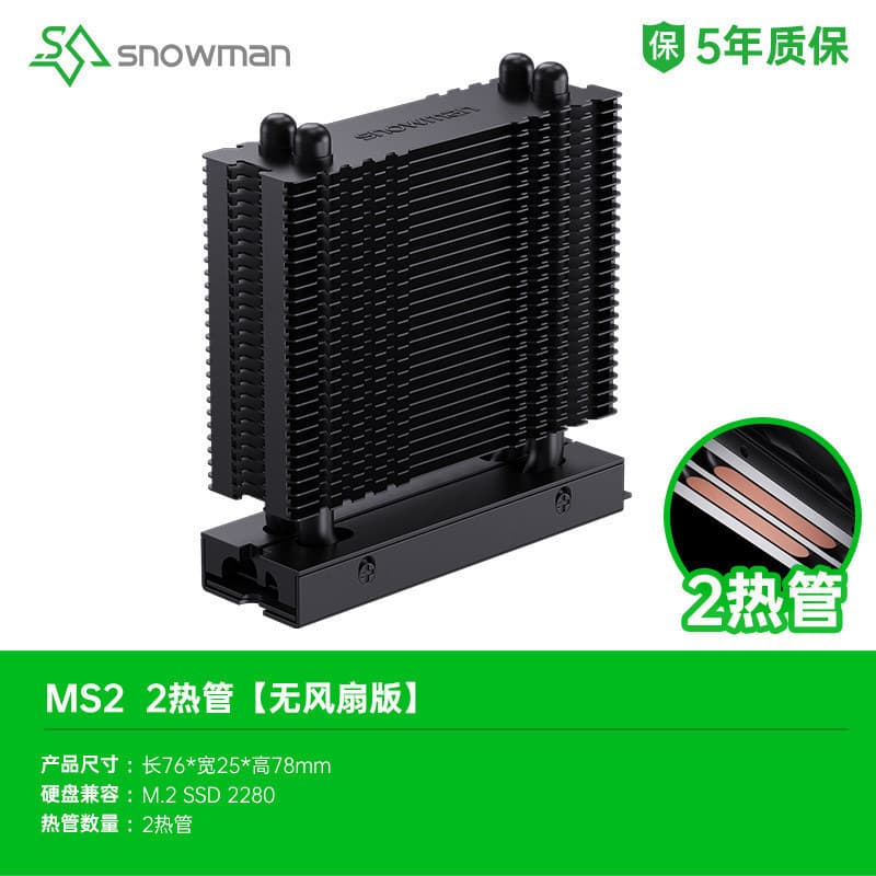 Bingman MS2 Pro M.2 Heat Pipe SSD Cooler M2 2280 SSD Heatsink PS5 Heat Sink