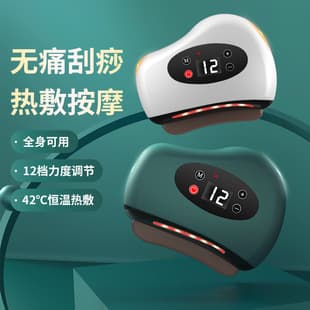 Electric Gua Sha Tool, Meridian Brush for Full Body, Lymphatic Drainage Gua Sha Board, Cupping, Belly Massage, Back Massage Tool