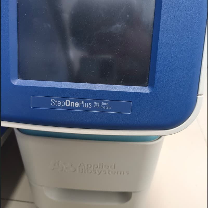 Used ABI (Thermo Fisher Scientific) StepOne Plus Rapid Real-Time Fluorescence PCR Instrument.