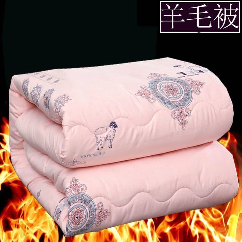 Wool Quilt Winter Warmth Extra Thick Cotton Filling Dormitory Single/Double Cashmere Quilt Bedding Winter 10 Jin