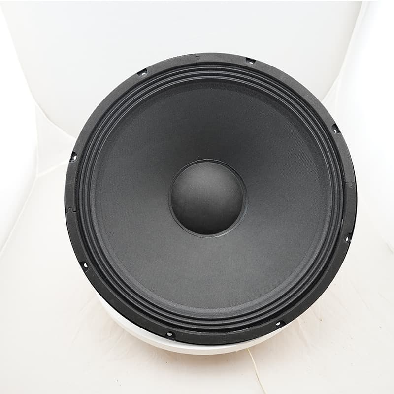 TYR-1504-0114 15-inch Woofer 140 Magnet Outdoor Speaker