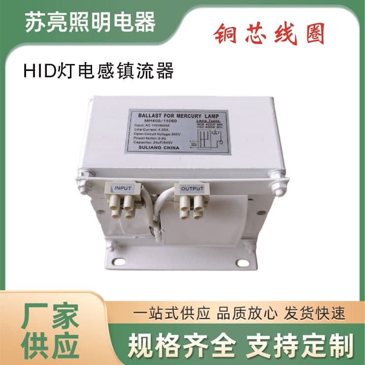 Factory Direct Supply 110V 60Hz Voltage Mercury Lamp Metal Halide Lamp Magnetic Ballast, HID Floodlight Ballast