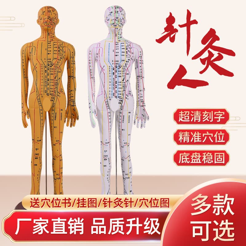 Acupuncture Point Human Body Model Meridian Teaching Model Traditional Chinese Medicine Ultra Clear Small Bronze Figure Massage Practice Silicone Man