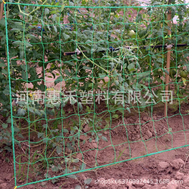18-strand/27-strand Garden Trellis Net for Passion Fruit, Grapes, and Flowering Vines, Nylon Mesh