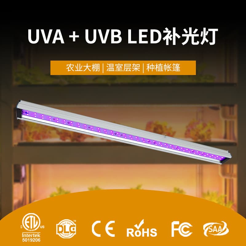 LED ultraviolet UVA UVB succulent coloring lamp indoor light strip flower and vegetable efficient plant supplementary light growth lamp