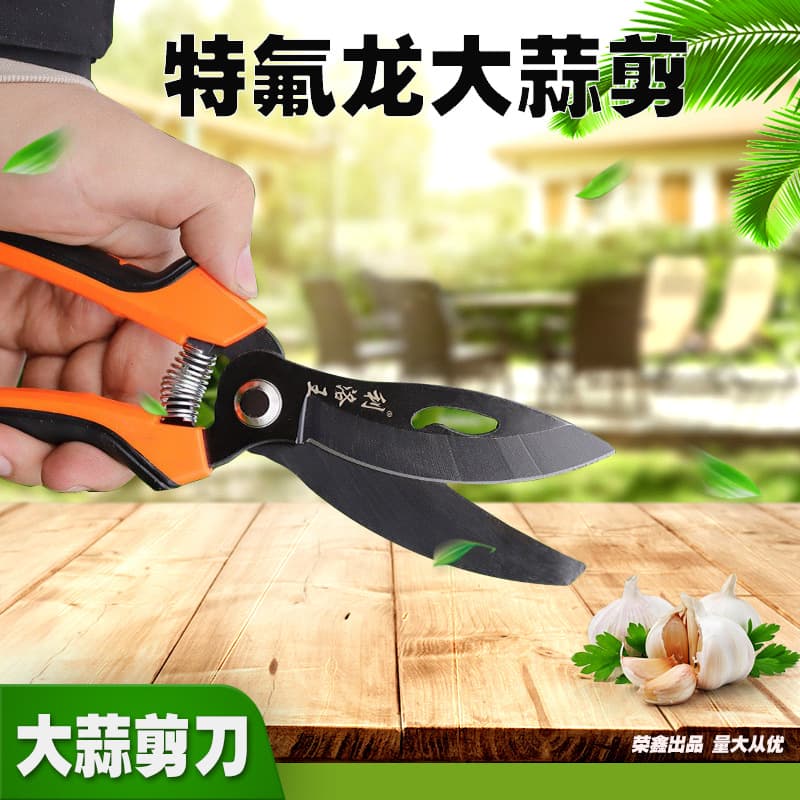 Garlic Scissors, Garlic Cutter Tool, Garlic Stem and Root Scissors, Onion Scissors, Garlic Clove Scissors