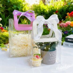In Stock PVC Transparent Handle Bag Plastic Gift Box Birthday Souvenir Bag Packaging Bag Gift Bag