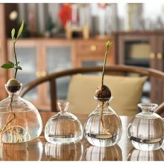 Japanese-Style Avocado Hydroponic Vase Avocado Growing Kit Vase Container Large Horticultural Decorative Bottle