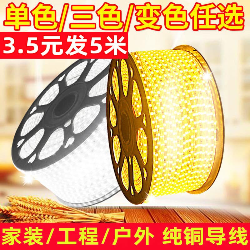 2026 LED light strip for home living room ceiling decoration 2835 soft color light strip super bright three-color dimming outdoor Year of the Horse