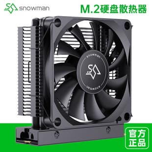 Bingman MS2 Pro Heatpipe M.2 SSD Heatsink, M2 2280 SSD Thermal Armor, PS5 Heat Sink