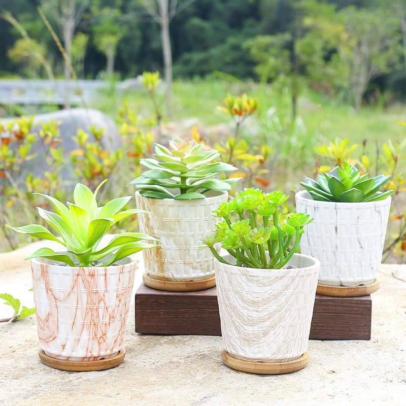 Nordic Mini Succulent Flower Pot Ceramic Special Clearance Small Pothos Flower Pot Combination Indoor and Outdoor Simple Small Ornaments