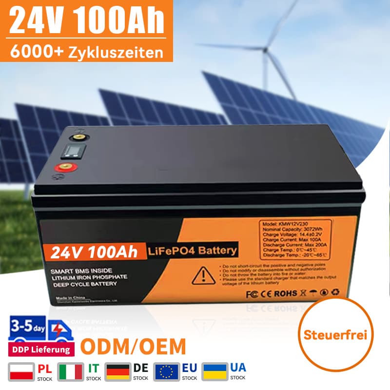 24V 100AH LiFePO4 Batteriepack mit BMS 12.8V 12V 200AH 300AH
