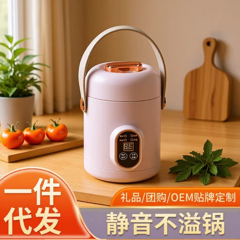 Cross-border multifunctional rice cooker, electric stew pot, mini convenient electric heating cup, office dormitory porridge artifact, electric cooking pot