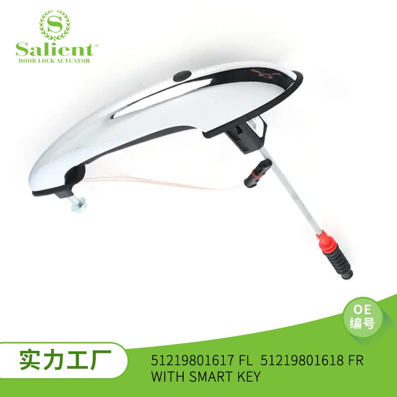 For Mini Cooper 51219801617 FL 51219801618 FR Car Door Handle Outer Pull