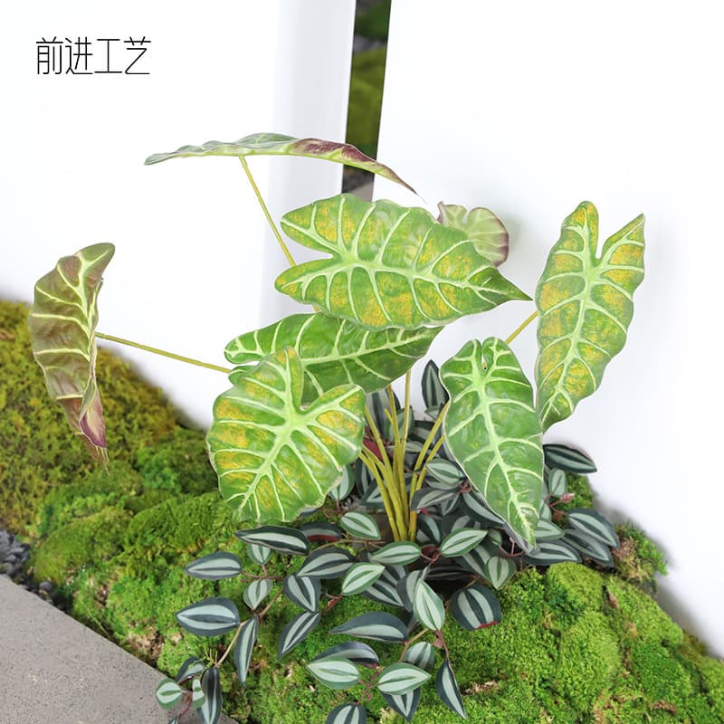 Real Photo 3D Printed 4 Colors Available 9-Head Sea Feather Leaf Green Plant Landscape Decorative Green Leaf Peacock Leaf