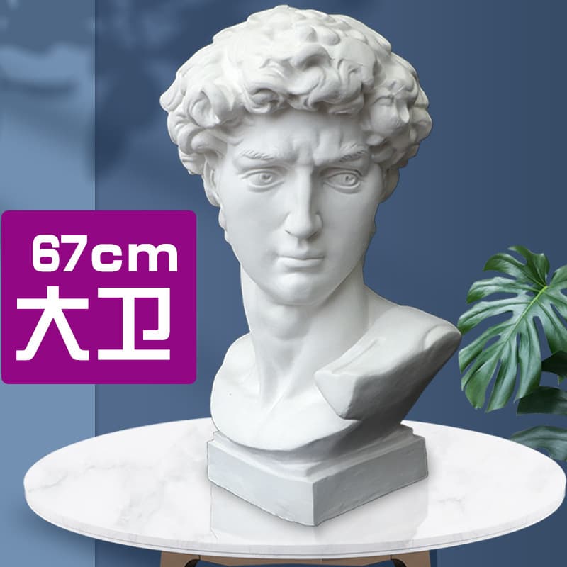 David Plaster Head with Geometric Shapes - Still Life Art Teaching & Photography Prop Set