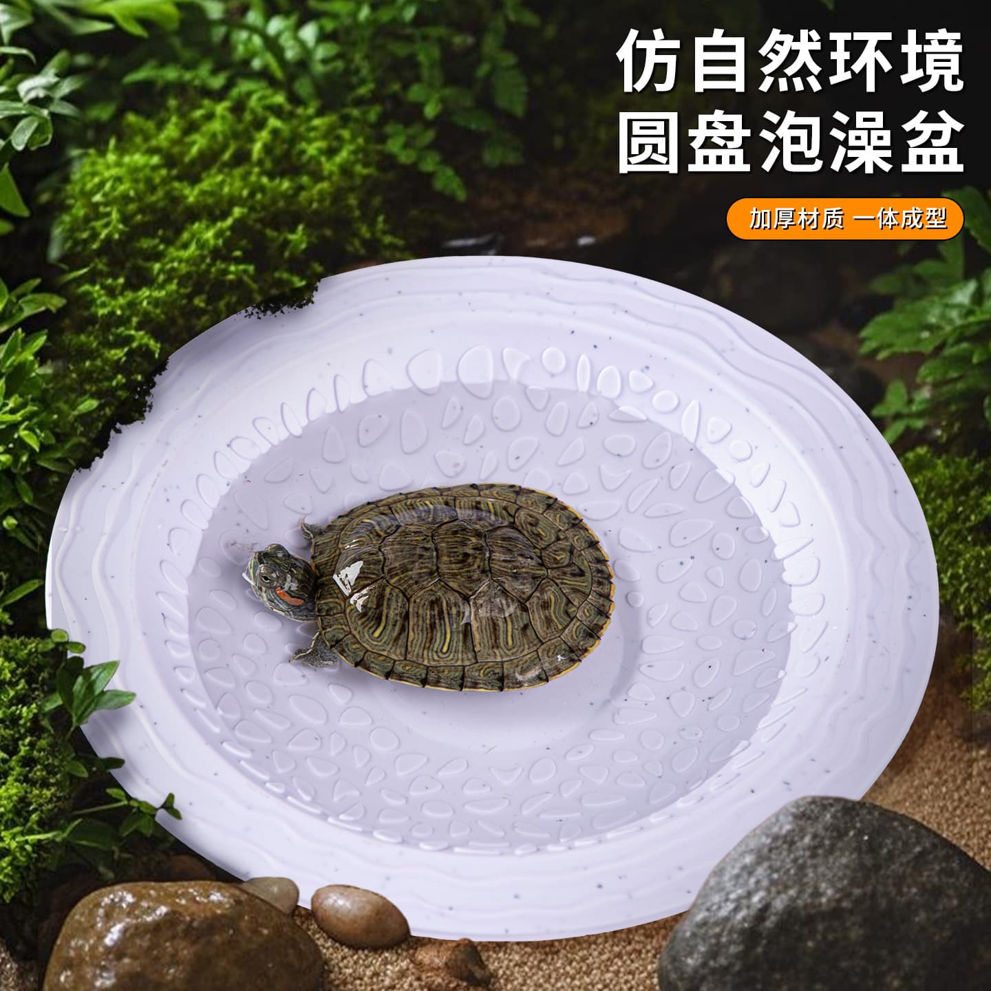 Tortoise Bathing Basin, Turtle Reptile Ladder-Style Climbing Pet Water Dish, Food Bowl for Yellow-Margined Box Turtle, Semi-Aquatic Turtle Bathing Tub