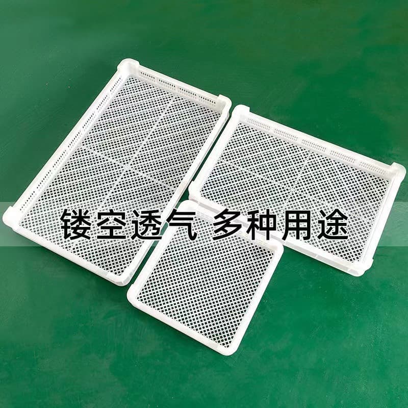 Dry basket grid drying tray dry goods rectangular food drying basket plastic single freezer drain freezing tray plastic frame