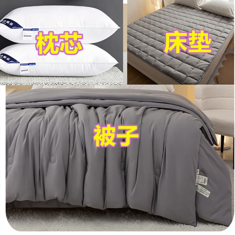Mattress Pillow Full Set Cotton Duvet Core Summer Quilt Spring/Autumn Bedding Set Three-Piece Student Single Dormitory Quilt