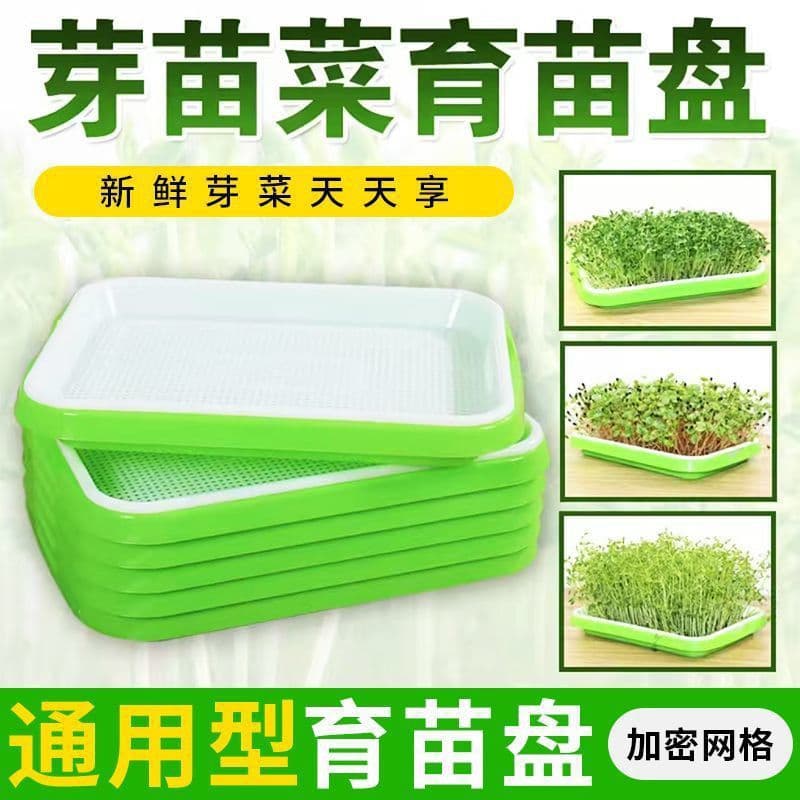Balcony Garlic Sprout Planting Tray Hydroponic Garlic Seedling Growing Pot Manual Operation Plastic PP Material Gardening Tool
