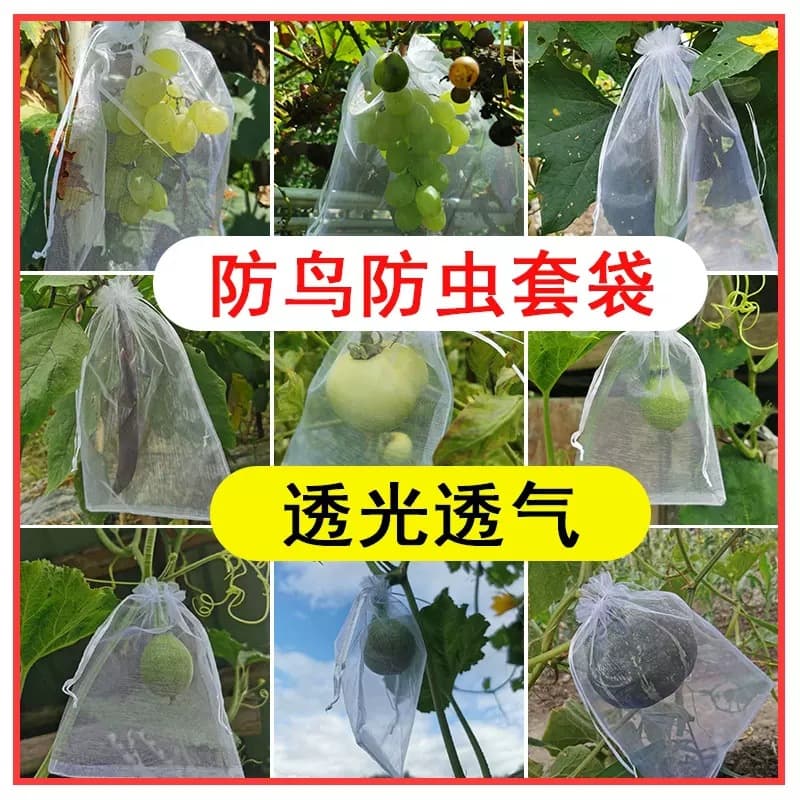 Fruit bagging wholesale orchard drawstring grape-specific bags, dragon fruit, peach, fig bird and insect net bags.