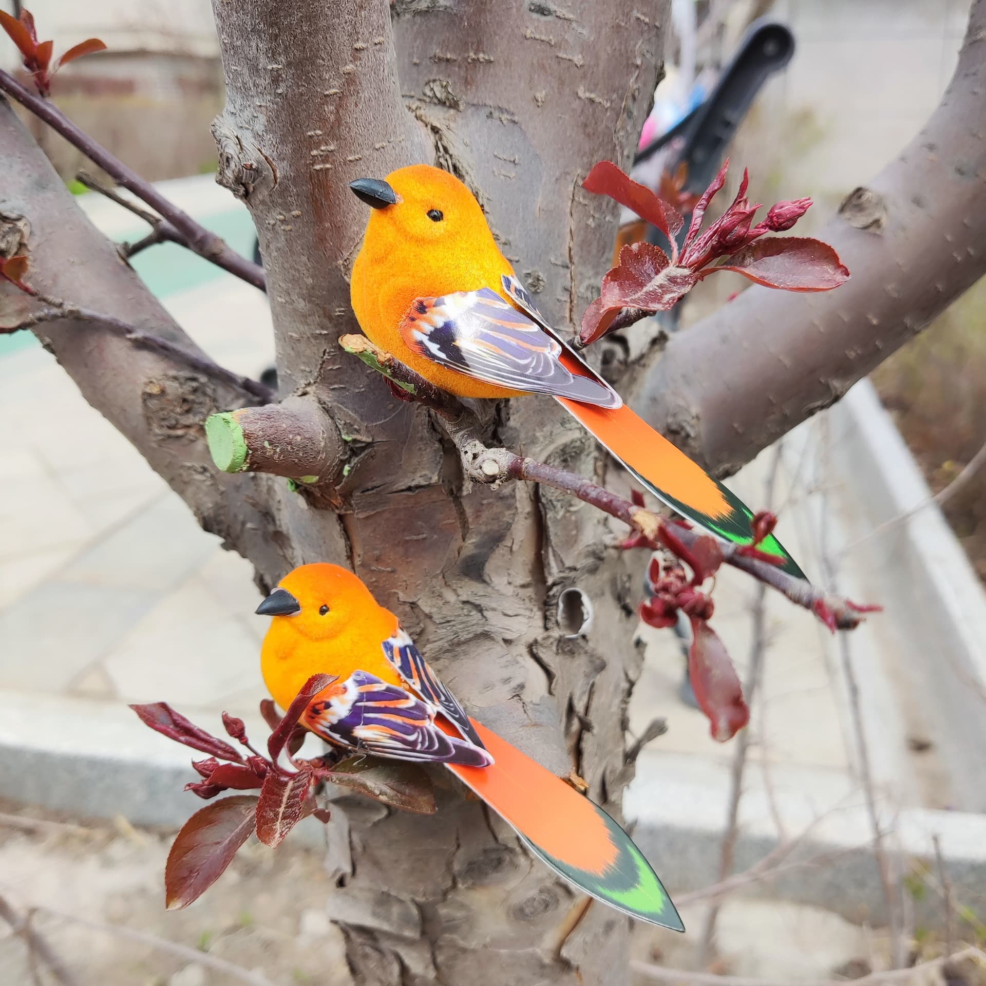 Flocked Bird / Simulation Bird / Prop Bird