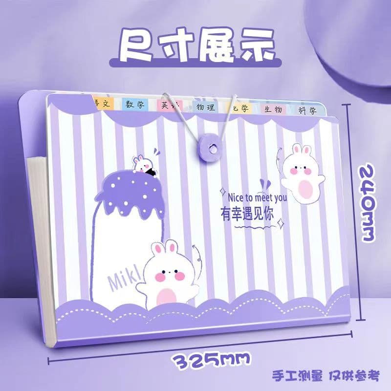 Multi-layer Vertical Accordion File Organizer with Classification Labels, Large Capacity Storage Bag for Documents and Test Papers