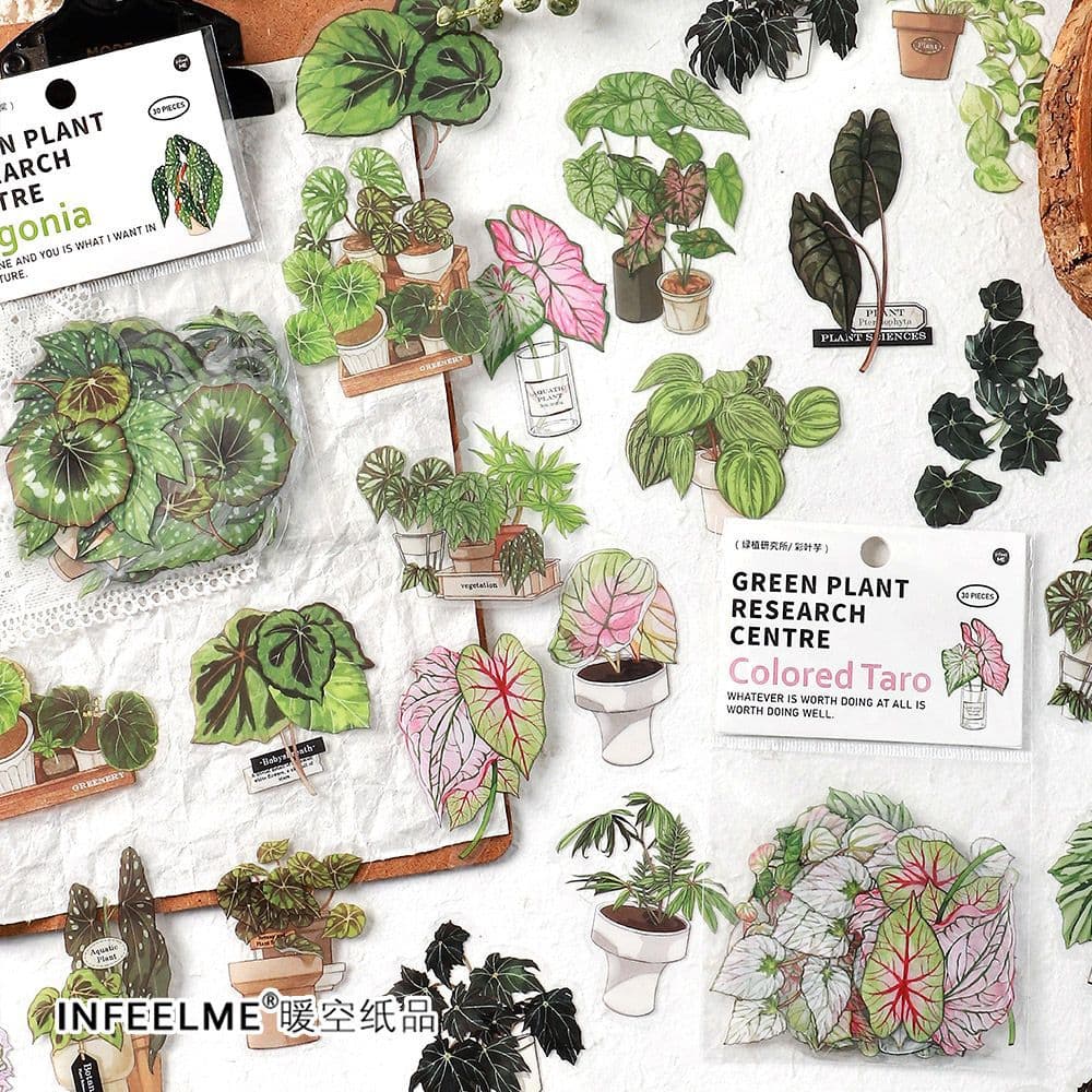 Infeel.Me Green Plant Research Institute series PET sticker bag small fresh retro Plant Journal goo card decorative stickers