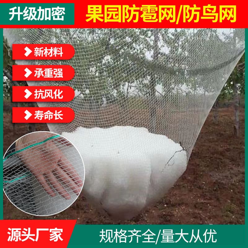 Cross-border Anti-bird Net for Fruit Tree Orchard, Anti-hail Net for Fish Pond Farming, Farmland Horticulture Greenhouse Net Cover, Nylon Net