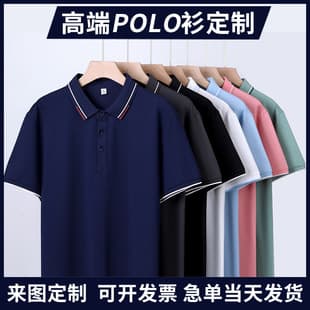 Custom Turn-down Collar Polo Shirt with Embroidery Logo T-Shirt Advertising Shirt Culture Shirt Group Uniform Workwear Source Wholesale