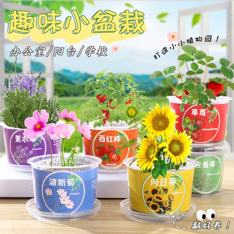 Creative Kids Fruit & Vegetable Mini Potted Plant, Student Desktop Planter, Kindergarten Science Experiment Fruit & Vegetable Growing Cup