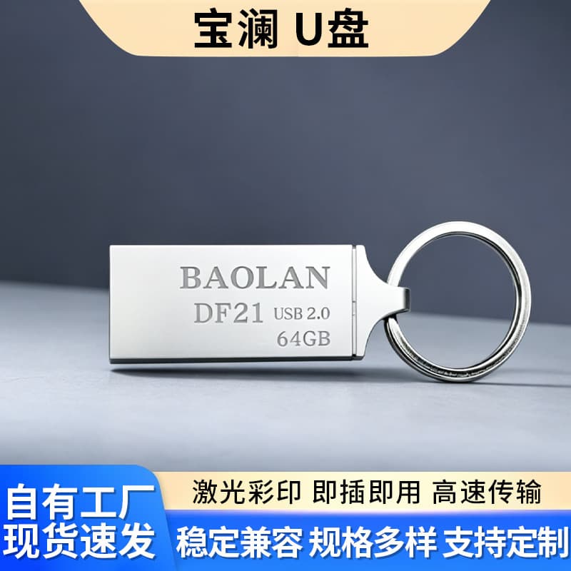 USB Flash Drive Wholesale BAOLAN USB2.0 DF21 Flash Drive 4GB 8GB 16GB 32GB Car Computer USB Drive