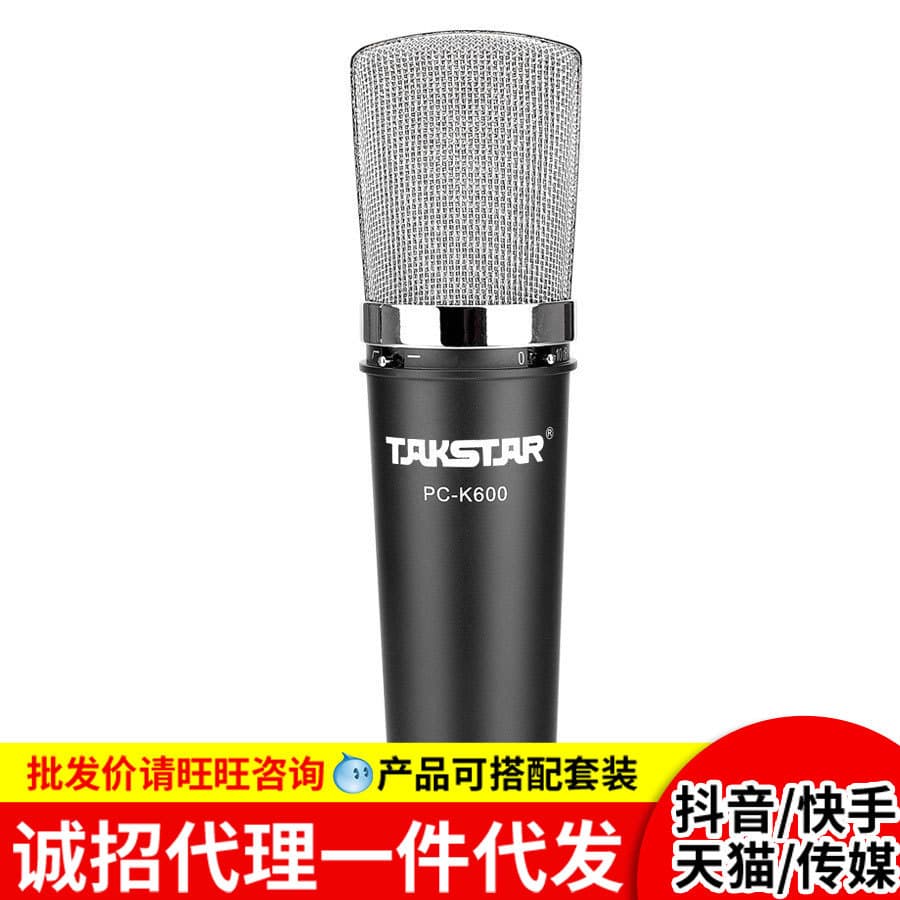 Takstar PC-K600 Combo Professional Condenser Microphone for Network Karaoke Computer Recording and Cover