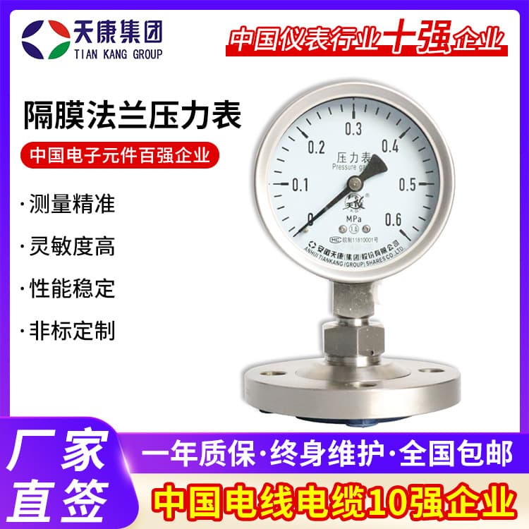 Tiankang Group Diaphragm Pressure Gauge Manufacturer, Diaphragm Flange Pressure Gauge 304 Vibration-Resistant Threaded Pressure Meter
