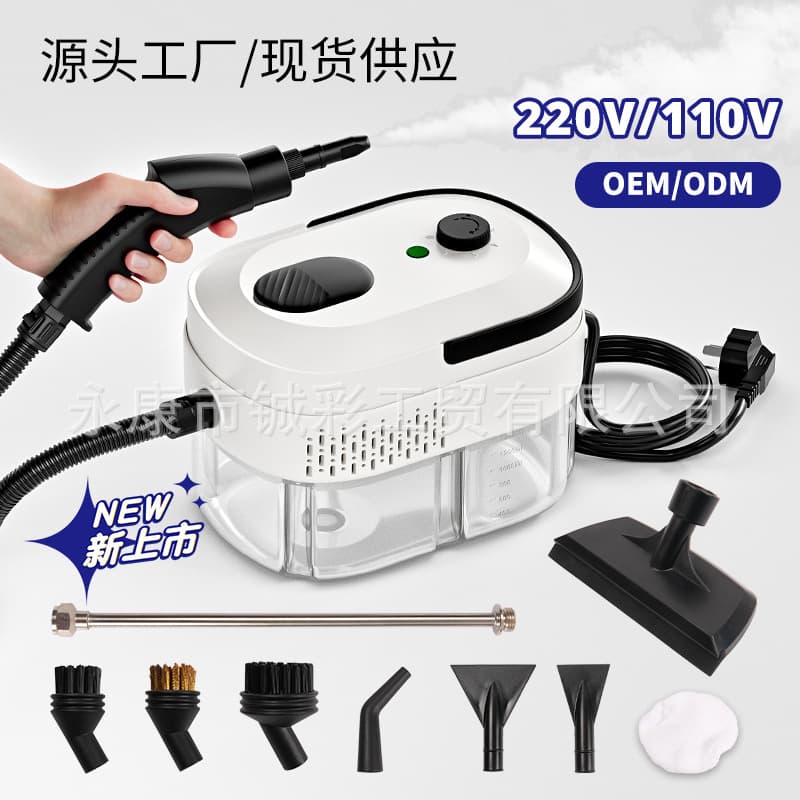 Cross-Border Best Seller 2500W High Temperature High Pressure Steam Cleaner for Home Kitchen Steam Cleaning Machine EU Plug Factory Direct