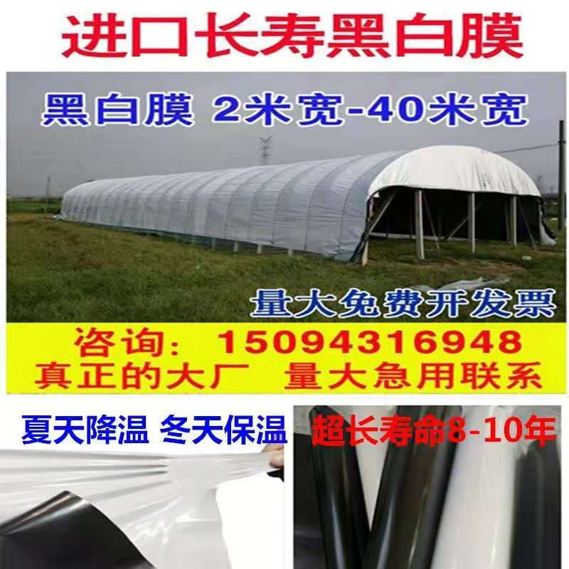Imported greenhouse film thickened long-life breeding black and white film, sun protection green-white film, anti-aging thermal insulation reflective impermeable film
