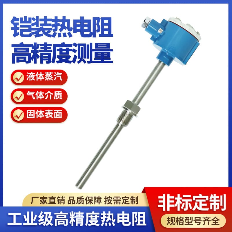 WZP240 Explosion-Proof PT100 Thermistor Integrated Temperature Sensor, -50 to 400°C, Customized by SBWZ Shangyi