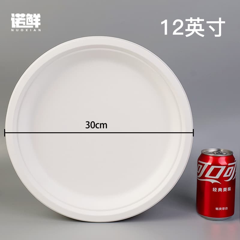 Disposable Paper Plate for Kindergarten Handmade DIY Painting, Cake and BBQ Serving, Large 12-inch Paper Dish