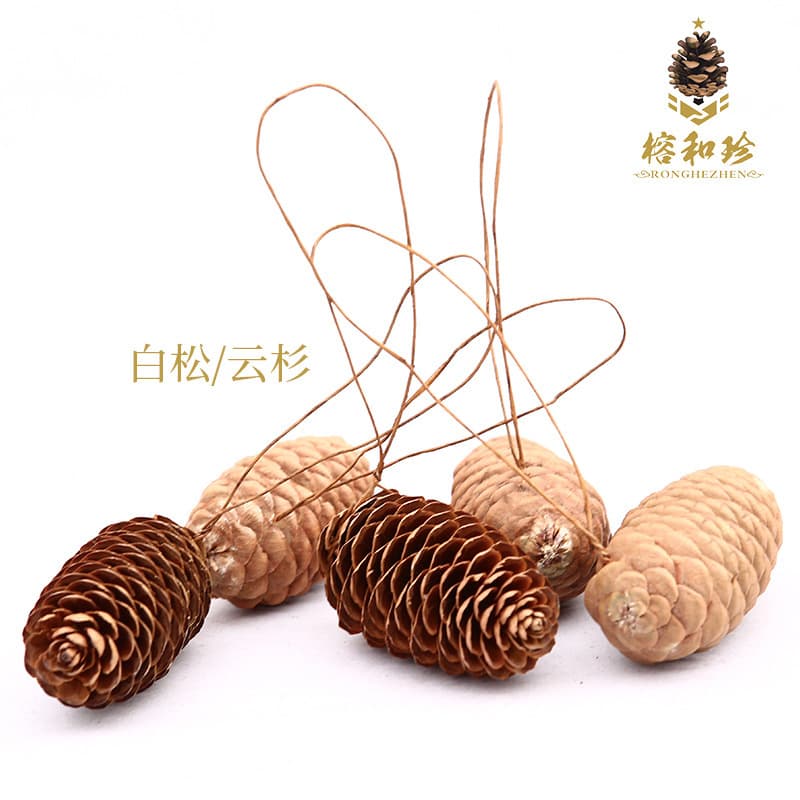 Pinecone Craft Supplies with Binding Wire, Christmas Tree Shell, Hooks, DIY Natural