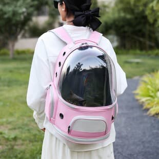 New Outdoor Cat Backpack, Small and Medium Pet Space Bag, Transparent Double Shoulder Cat Bag, Travel Bag, Portable Dog Bag