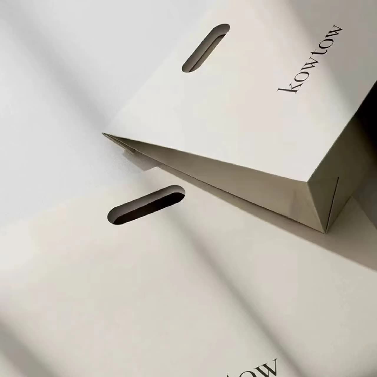 Custom Factory Price Eco-Friendly Gift Bag with Handle Die Cut Luxury Paper Bag with LOGO Luxury Paper Bag