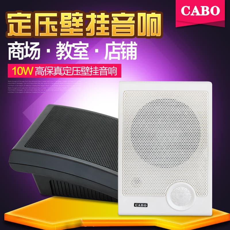 CABO 702/704 Public Address Background Music Wall-Mounted Speaker, Wall Speaker, Store Audio