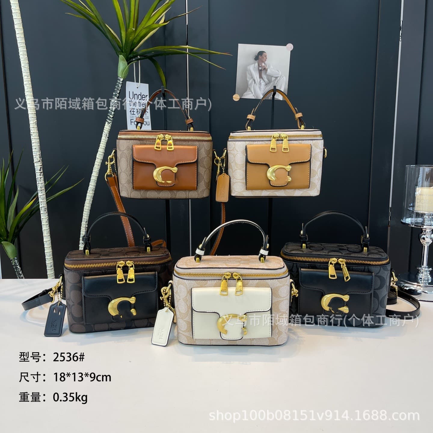 Women's Bags - New European and American Cosmetic Bag, Fashionable Shoulder and Crossbody Bag, C Logo Handbag for Women