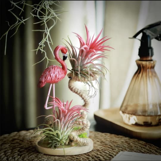 Base Wholesale Various Air Plant Combos Flamingo Big White Goose Little Bird Spanish Moss Combo Set Gift Ornamental